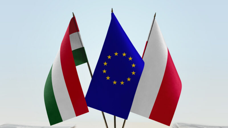 Unijní řízení s&nbsp;Polskem a&nbsp;Maďarskem nejsou účinná, tvrdí Evropský parlament