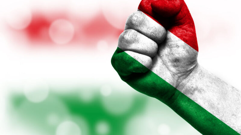 Orbán spouští kampaň proti rozhodnutí EP. Maďarsko se bude bránit u&nbsp;soudu