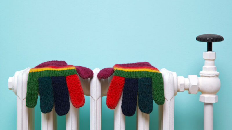 Češi i&nbsp;jejich firmy mohou za energie šetřit víc. Stát by ale musel být chytřejší