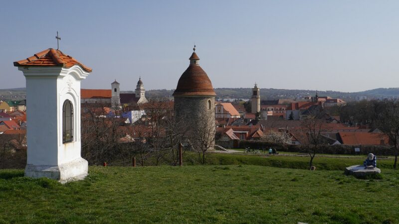 Slovenští starostové se bojí žádat o&nbsp;dotace z&nbsp;EU kvůli přísným auditům, říká Čunderlík ze Skalice