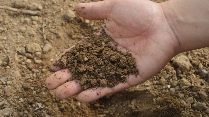 EU nastaví nové limity pro nebezpečné kadmium v&nbsp;hnojivech. Česká legislativa je přísnější