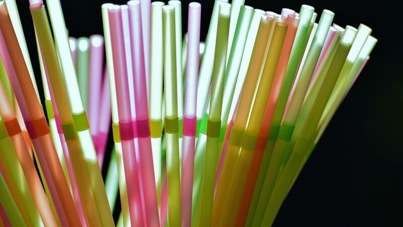 Jednorázovým plastům měl být od července konec. Povedlo se?