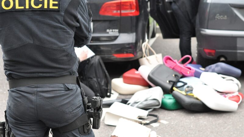 Falešné kabelky i&nbsp;léky. Evropu zaplavují padělky, pomoct může technologie blockchain