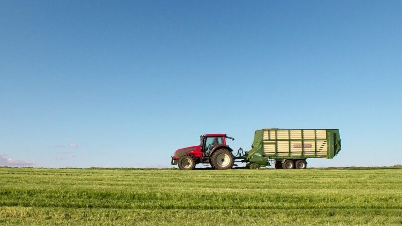 České zemědělství po vstupu do Unie? Růst mezd i&nbsp;investice do technologií