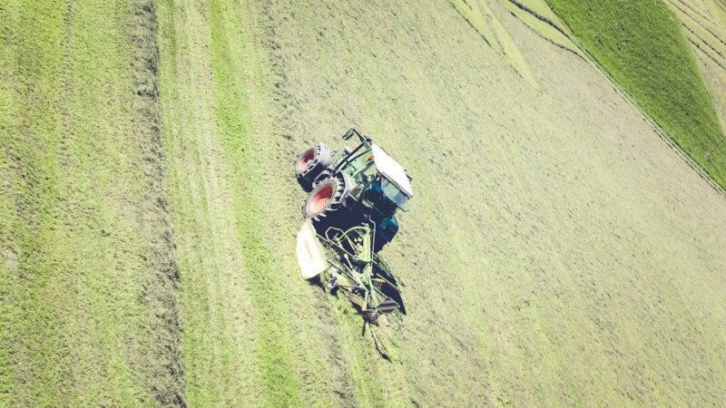 Zemědělství je můj životní styl, říká sedlák David Smetana
