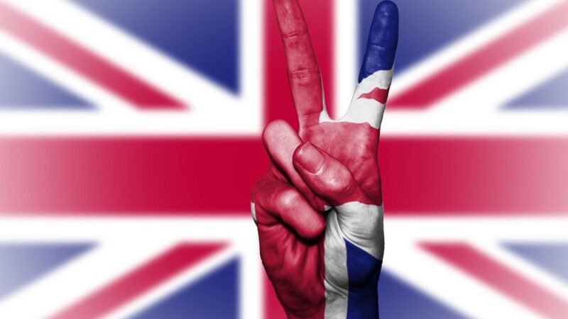 Zastánci EU vidí v&nbsp;britských volbách šanci na návrat