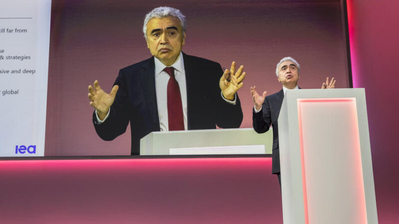 Rostoucí ceny energií nejsou důsledkem klimatické politiky, tvrdí šéf mezinárodní energetické agentury