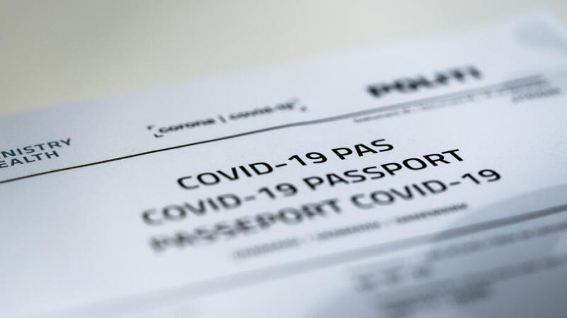 Evropané budou mít digitální očkovací pasy. Komise je navrhne do konce března