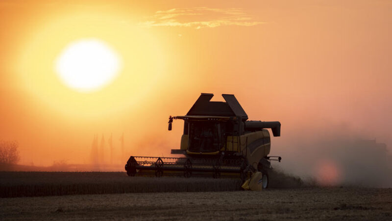 Zastropování zemědělských dotací: Dlouhý příběh, který zatím nemá konce