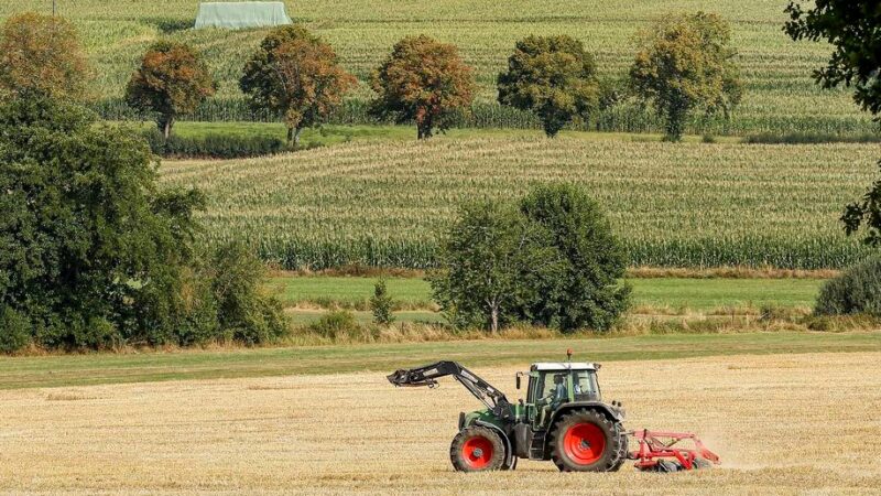 Zelená dohoda musí být pro zemědělce realistická a&nbsp;udržitelná