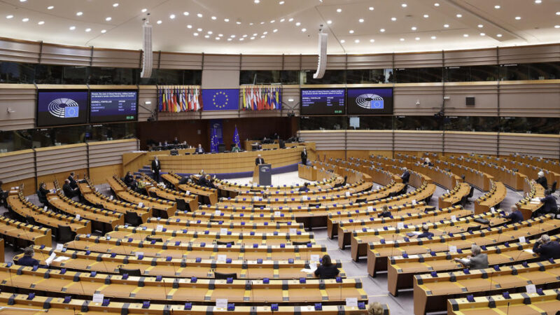 Každá ruka dobrá. Českému předsednictví vypomůžou i&nbsp;europoslanci