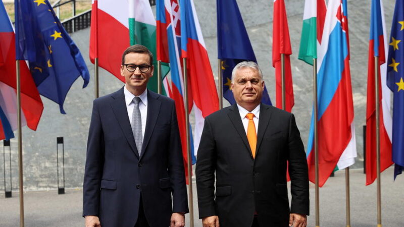 Europoslanci žalují Komisi za neuvalení sankcí proti Maďarsku a&nbsp;Polsku