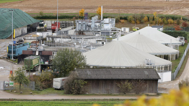 Bioenergie zažívá světový boom. Pomůže snížit závislost na ruském plynu