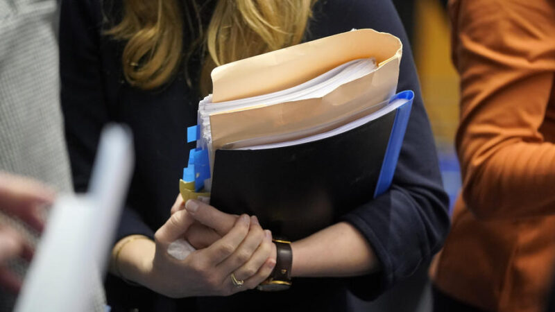 Rakousko jedná při omezování přídavků na děti žijící v&nbsp;cizině protiprávně, rozhodl Soudní dvůr EU