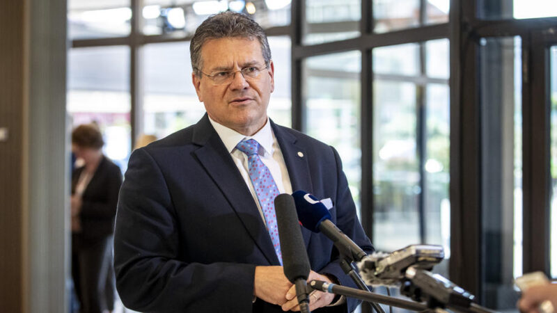 Pomoc pro Ukrajinu by mohla koordinovat speciální platforma, navrhuje Šefčovič