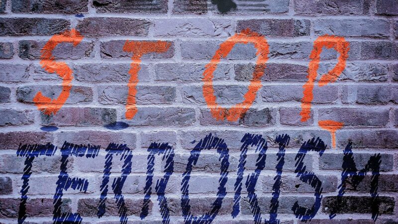 Europoslanci chtějí přísné a&nbsp;systematické kontroly vnějších hranic, přijmou i&nbsp;směrnici o&nbsp;boji proti terorismu