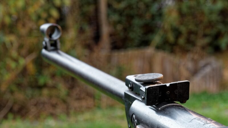 Konec olova? Agentura pro chemické látky EU doporučila plošný zákaz