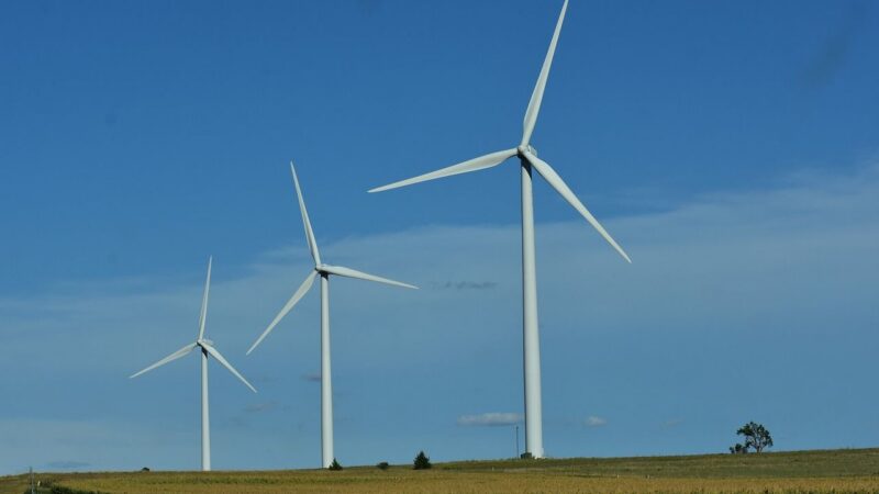 O zelenou energetiku je zájem, EU nemusí nic přikazovat, říká expert na finance